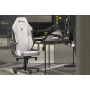 Secretlab TITAN Evo